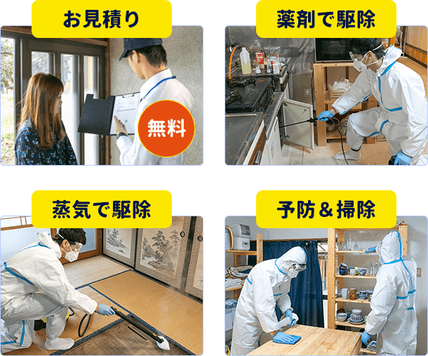 害虫を1匹からでもすぐに駆除。お見積り無料 | みんなの害虫駆除屋さん
